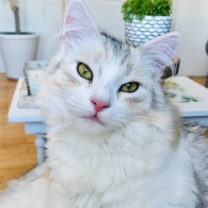 Meet your Posher, Christine